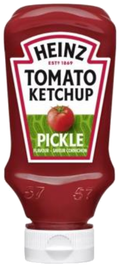Ketchup com Pickles 250g